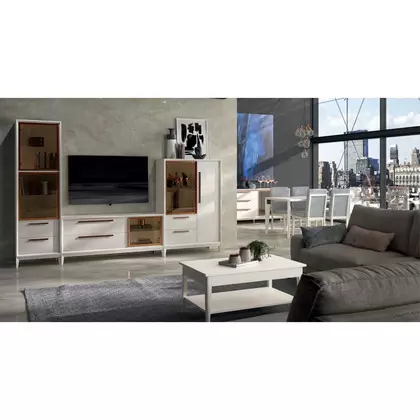 Mueble de salón grupo seys divogue 20C
