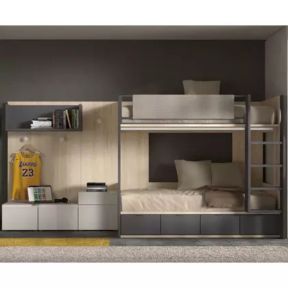 Litera bicolor con 4 contenedores de almacenamiento F201